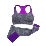 2pcs Women Yoga Sport Sets Fitness Stretch Seamless Bra Tank Top+Pants Leggings Set Gym Workout Elastic Breathable Sports Wear