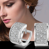 Fashion 925 Sterling Silver stamp Women Studs Earrings Luxury 3 Row Rhinestone Jewelry For Women men Girl Gift Wholesale