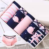 Feilibin 5Pcs /Lot Panties Hot Sale Sexy Cotton Women lingerie Seamless Womens Briefs Comfort Women Underwear Intimates M-XXL