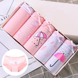 Feilibin 5Pcs /Lot Panties Hot Sale Sexy Cotton Women lingerie Seamless Womens Briefs Comfort Women Underwear Intimates M-XXL