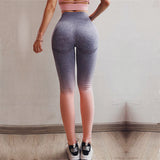 Oyoo Ombre Seamless leggings blue booty push up yoga pants high rise grey pink workout jogging pants for women training tights