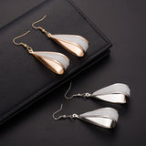 Silver/Gold Crystal Scrub Drop Hook  Earring